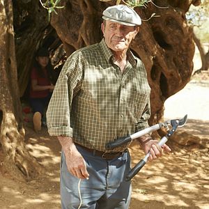 Foto El árbol del abuelo