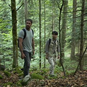 Foto El bosque siniestro