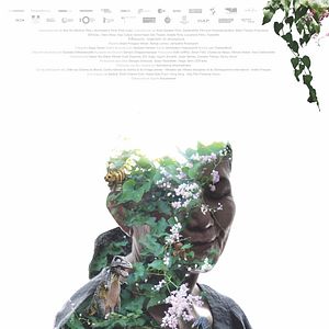 Foto Cementerio de esplendor