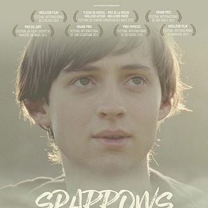 Foto Sparrows (Gorriones)