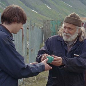 Foto Sparrows (Gorriones)