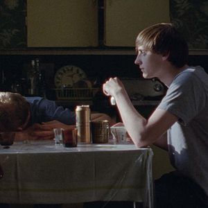 Foto Sparrows (Gorriones)