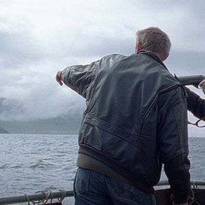 Foto Sparrows (Gorriones)