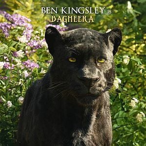 Foto El libro de la selva