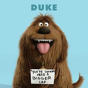 Foto La vida secreta de tus mascotas