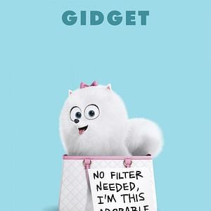 Foto La vida secreta de tus mascotas