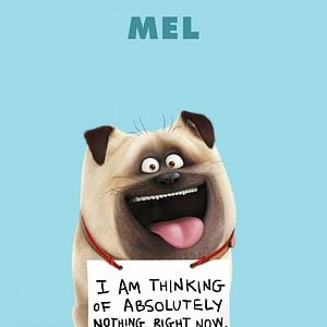 Foto La vida secreta de tus mascotas