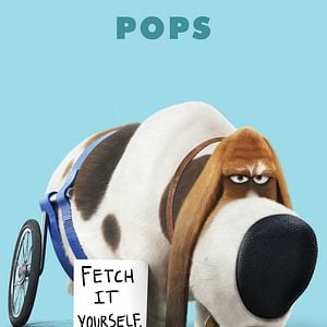 Foto La vida secreta de tus mascotas