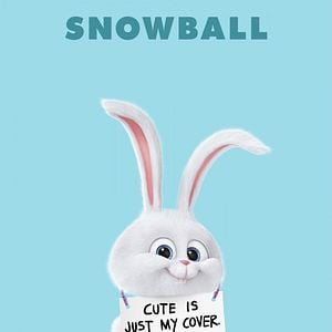 Foto La vida secreta de tus mascotas