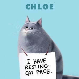 Foto La vida secreta de tus mascotas