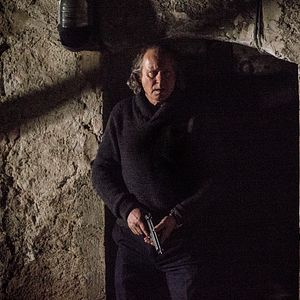 Foto Stellan Skarsgård