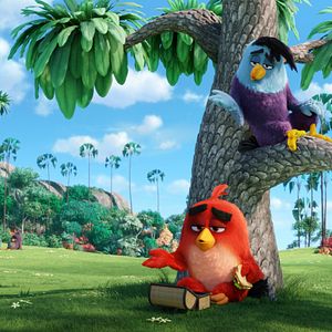 Foto Angry Birds: La película