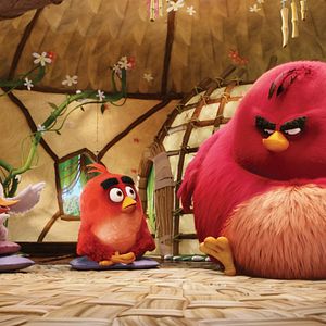 Angry Birds: La película - Película 2016.mx
