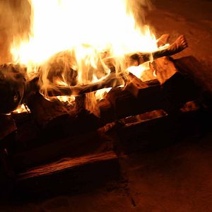 Foto Profecía Sangrienta