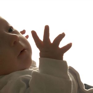 Foto La historia de Jan