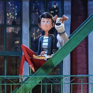 Foto La vida secreta de tus mascotas