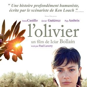 Foto El árbol del abuelo