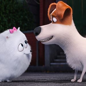 Foto La vida secreta de tus mascotas