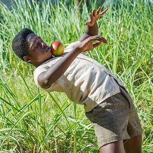 Foto Pelé: La película