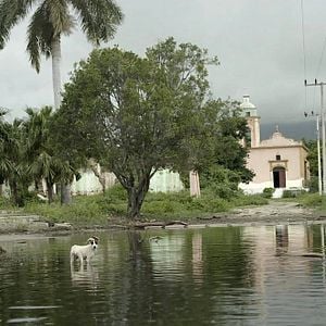 Foto Los reyes del pueblo que no existe