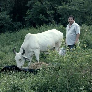 Foto Los reyes del pueblo que no existe