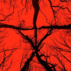 Foto La bruja de Blair