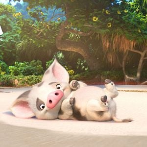 Foto Moana: un mar de aventuras