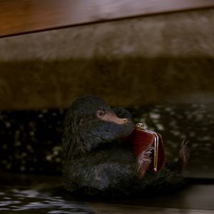 Foto Animales fantásticos y dónde encontrarlos