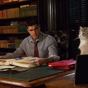 Foto Mi papá es un gato