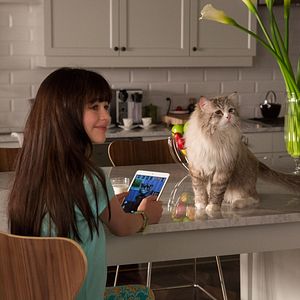 Foto Mi papá es un gato