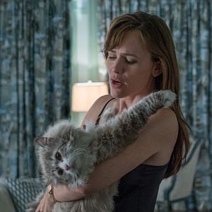 Foto Mi papá es un gato