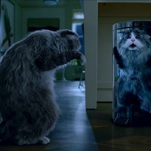 Foto Mi papá es un gato