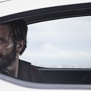 Foto Animales nocturnos