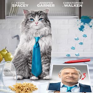 Foto Mi papá es un gato