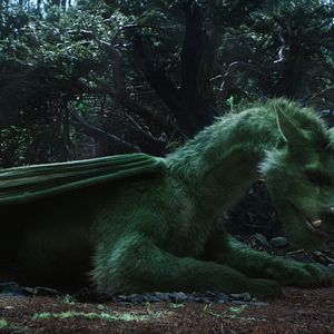 Foto Peter y el dragón