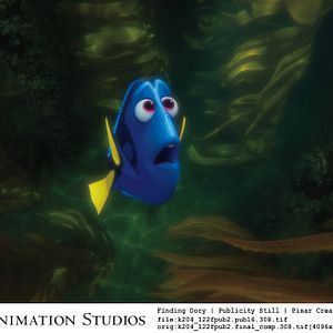 Buscando a Dory - Película 2016.mx
