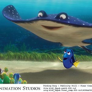 Foto Buscando a Dory