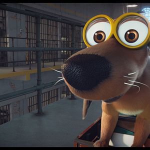 Foto Ozzy: Rápido y peludo