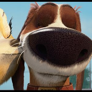 Foto Ozzy: Rápido y peludo