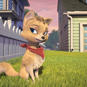 Foto Ozzy: Rápido y peludo