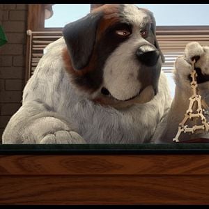 Foto Ozzy: Rápido y peludo