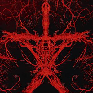 Foto La bruja de Blair