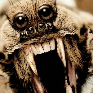 Foto American Horror Story