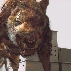 Foto Zombie Apocalypse