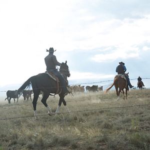 Foto Enemigo de todos