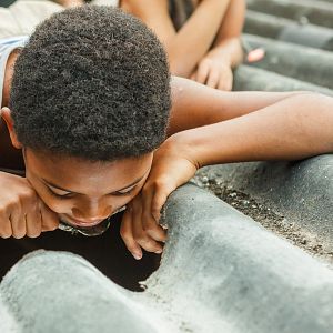 Foto Pelé: La película