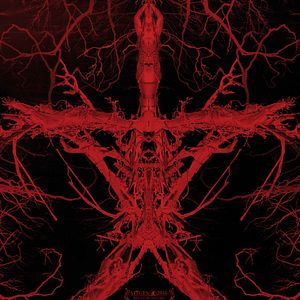 Foto La bruja de Blair