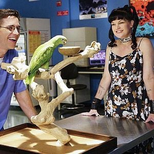 Foto Pauley Perrette