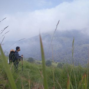 Foto Footprints: El camino de tu vida