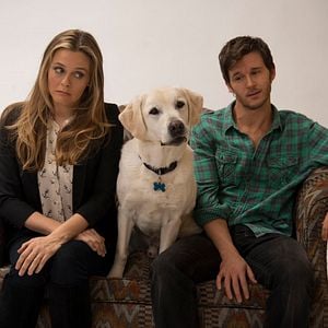 Foto Alicia Silverstone